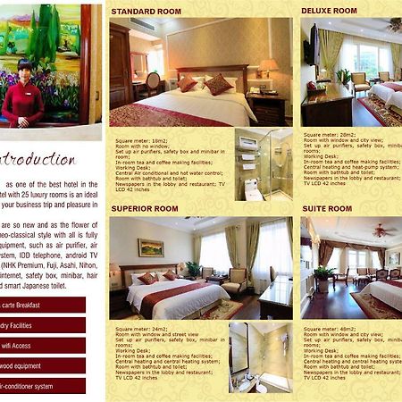 Violin Hotel Ha Noi Hà Nội Ngoại thất bức ảnh